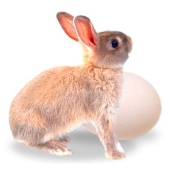 07b77_Free_Easter_Egg_Hunts_In_Houston_2013_easter-egg-hunt-oc